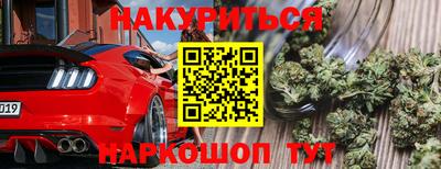 СК Гагарин