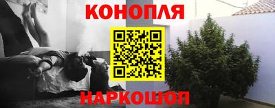 ALPHA PVP Гатчина