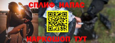 СК Гагарин