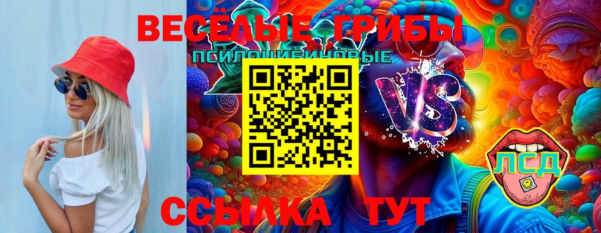 Галлюциногенные грибы Cubensis  Вход с VPN  Королёв 