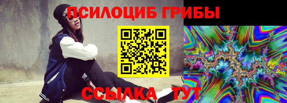 Псилоцибиновые грибы Psilocybine cubensis Королёв